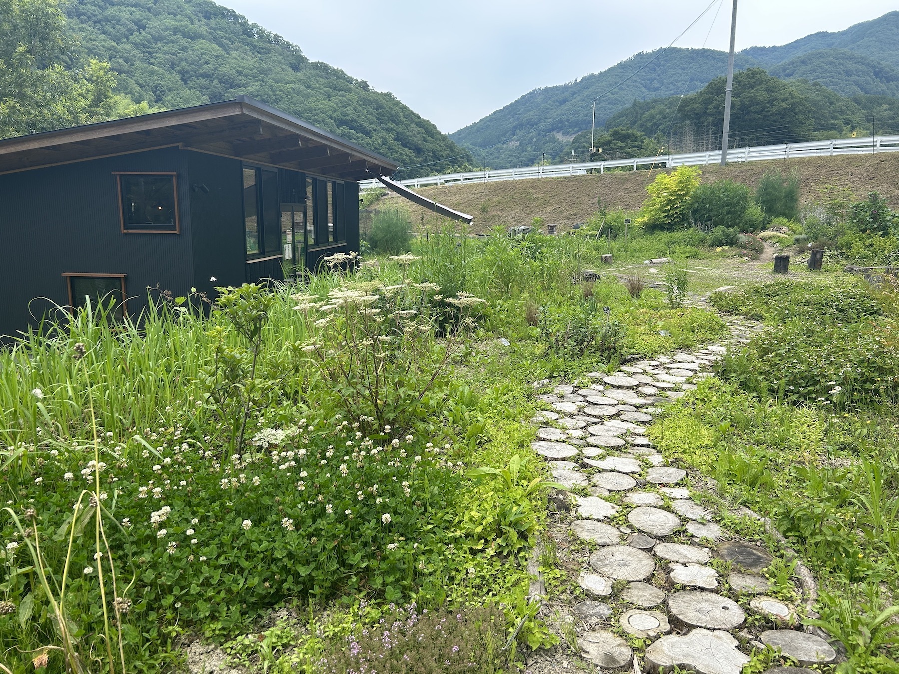 農園は駐車場から丸太の小道を抜けた先