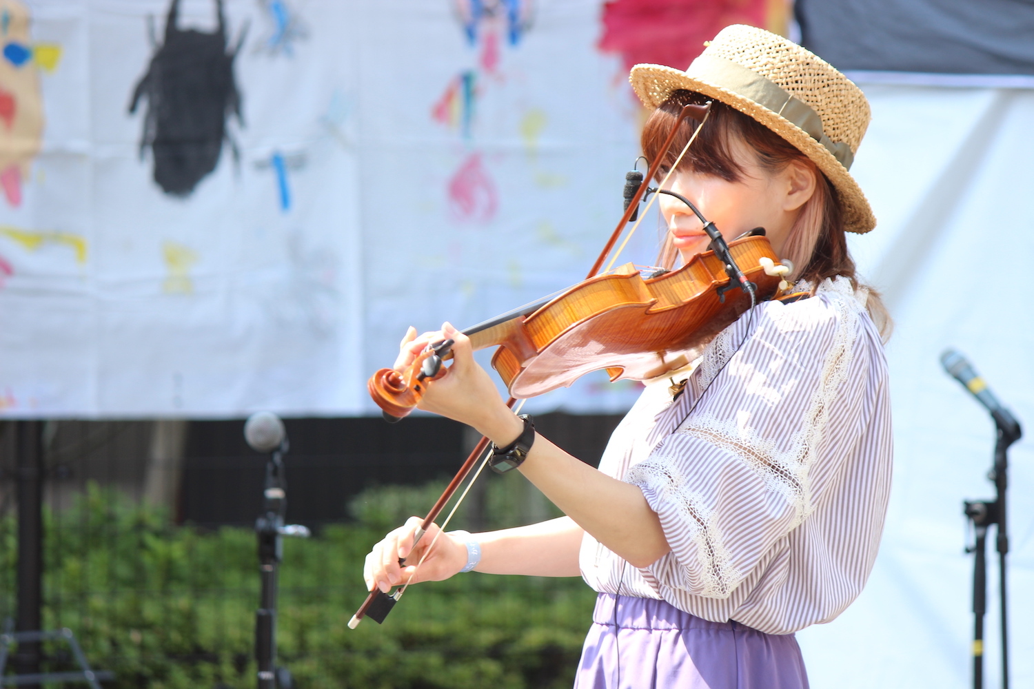 過去のライブの様子