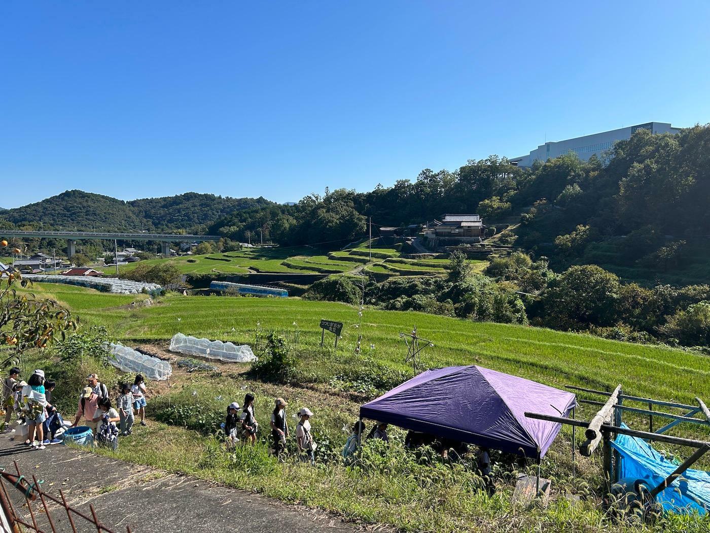 青い空と、山や畑の緑のコントラストが眩しい！