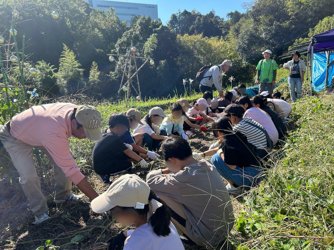 向かい合って、芋掘り開始！