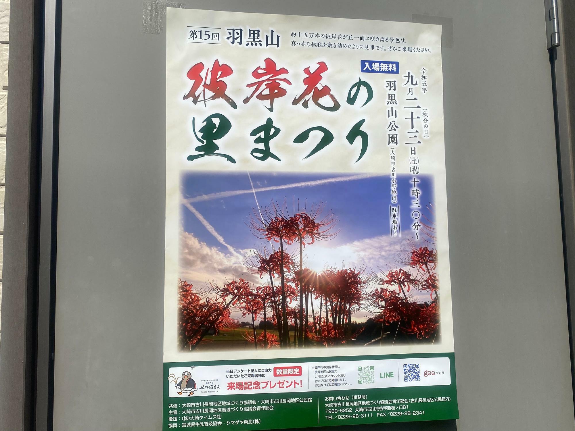 大崎市】現在の開花状況は？古川の羽黒山公園は県内有数の彼岸花群生地