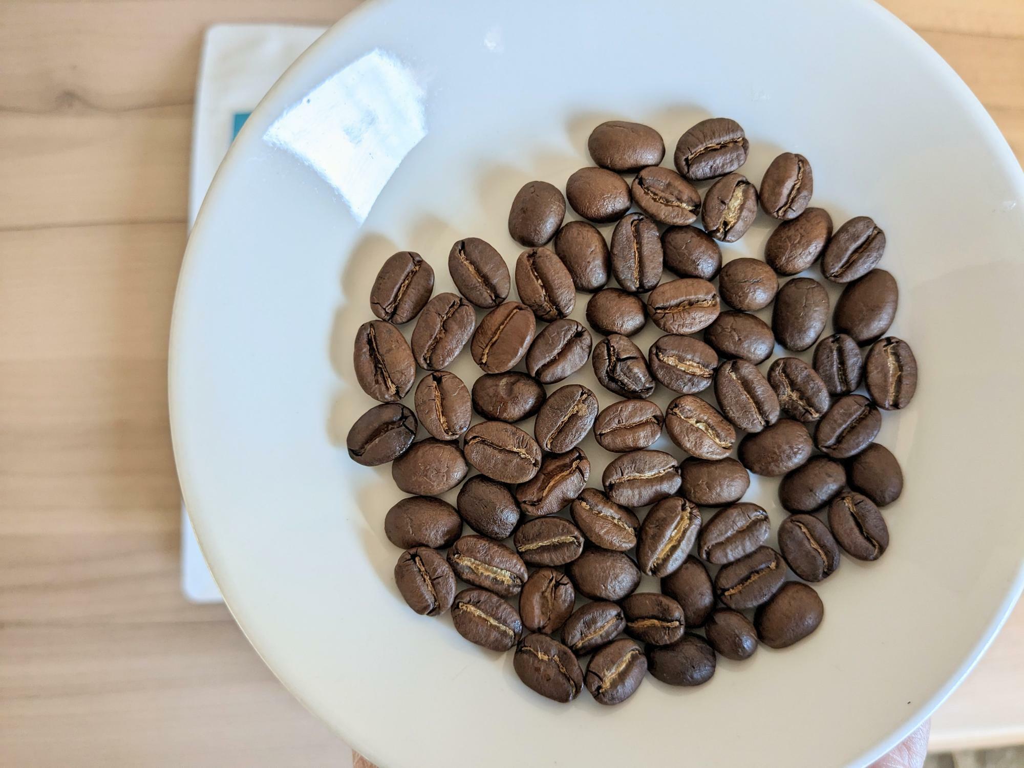 インド チャンドラヒルズ ”ガネーシャのコーヒー豆