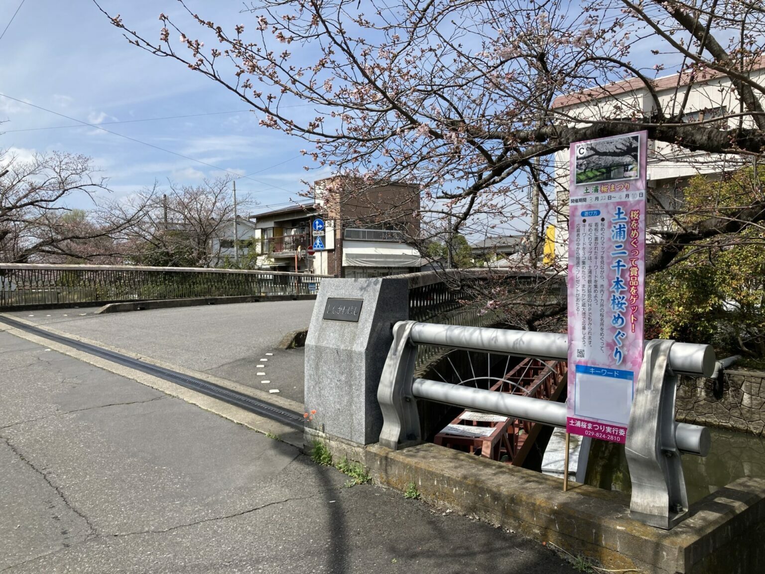 Cの桜の名所、新川に掲げられている看板（写真右側）