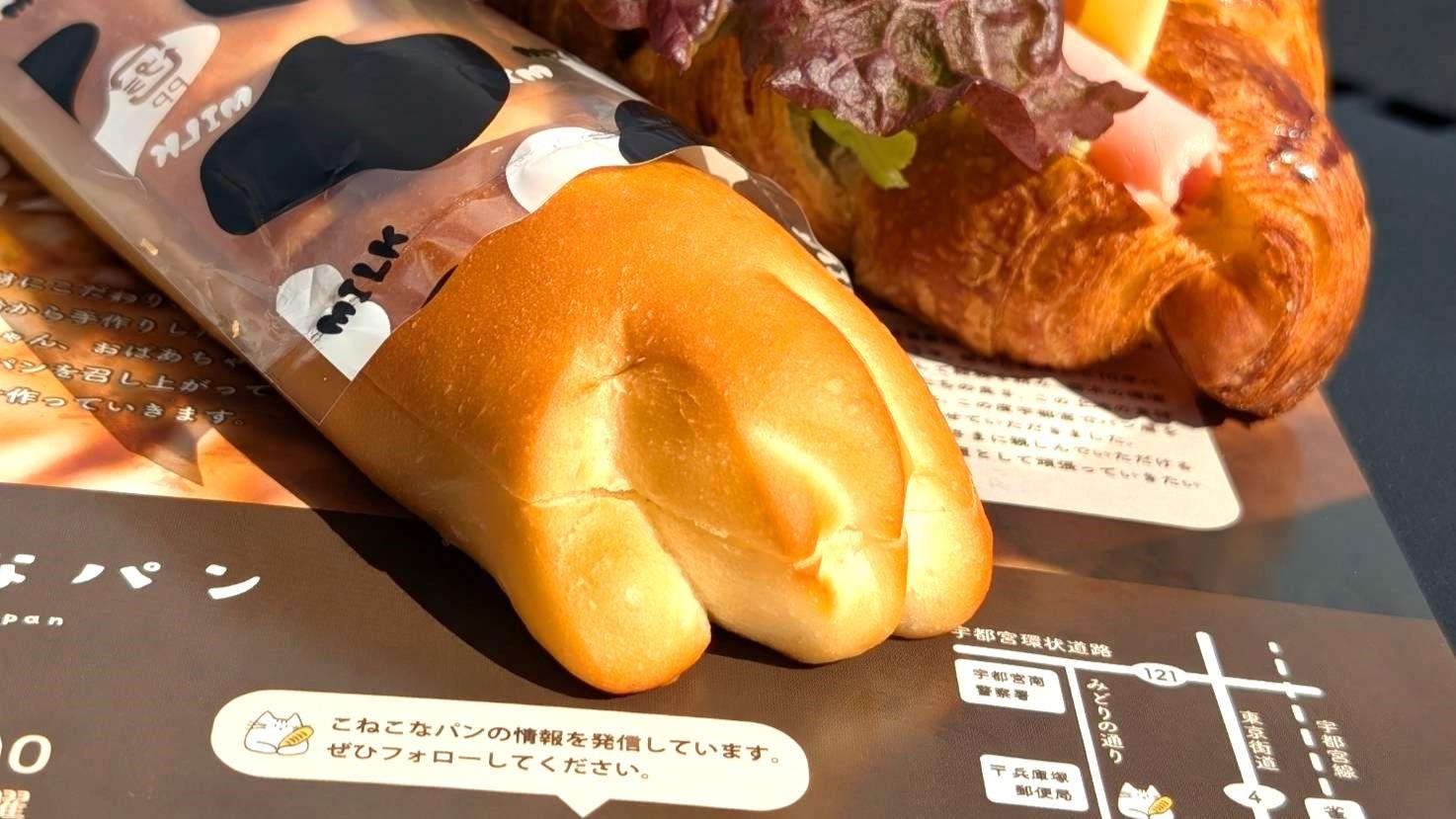 ねこぱん 宇都宮市】オープンから売切れ続出！ みどり野町にオープンした