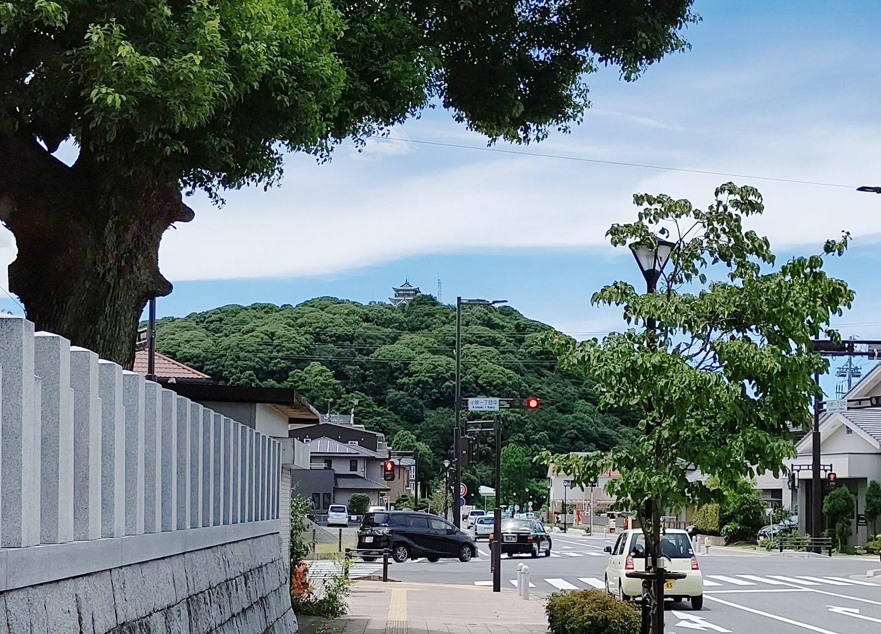 シンボルロードから撮影した小牧山