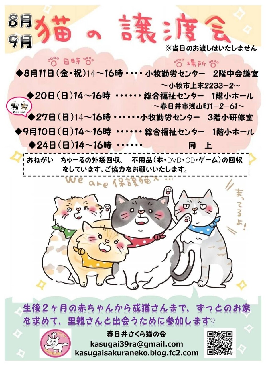 小牧市】8月は2回！8/11(金・祝)と8/27(日)に『猫の譲渡会』が開催