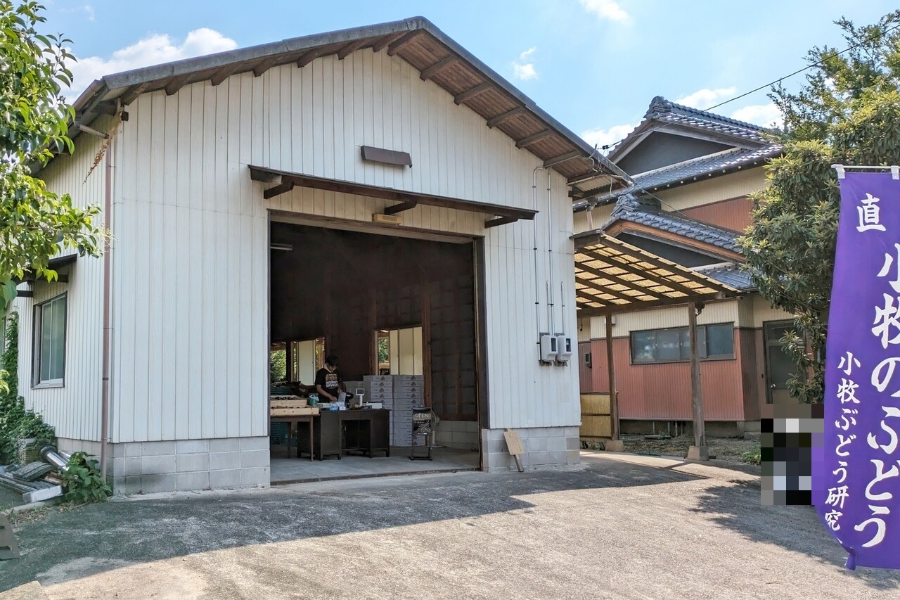 小牧市】今年8月にオープンした「小川ぶどう園」の直売所へ。現在は