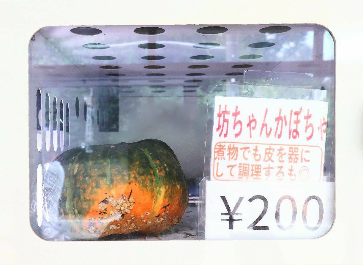 坊ちゃんかぼちゃ1袋200円