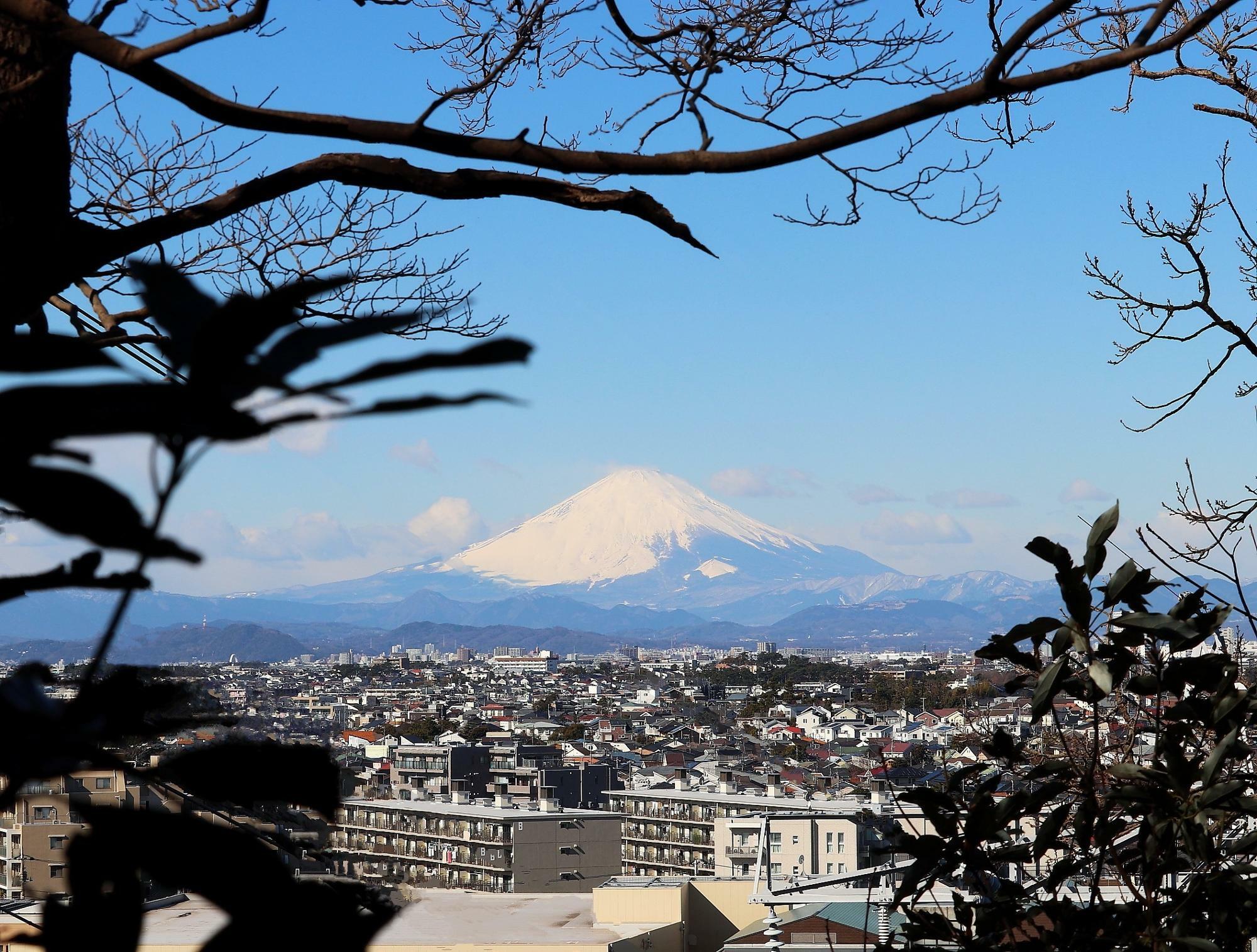 2022年2月17日撮影／『新林公園』の「展望台」付近から見える、雪をまとった富士山
