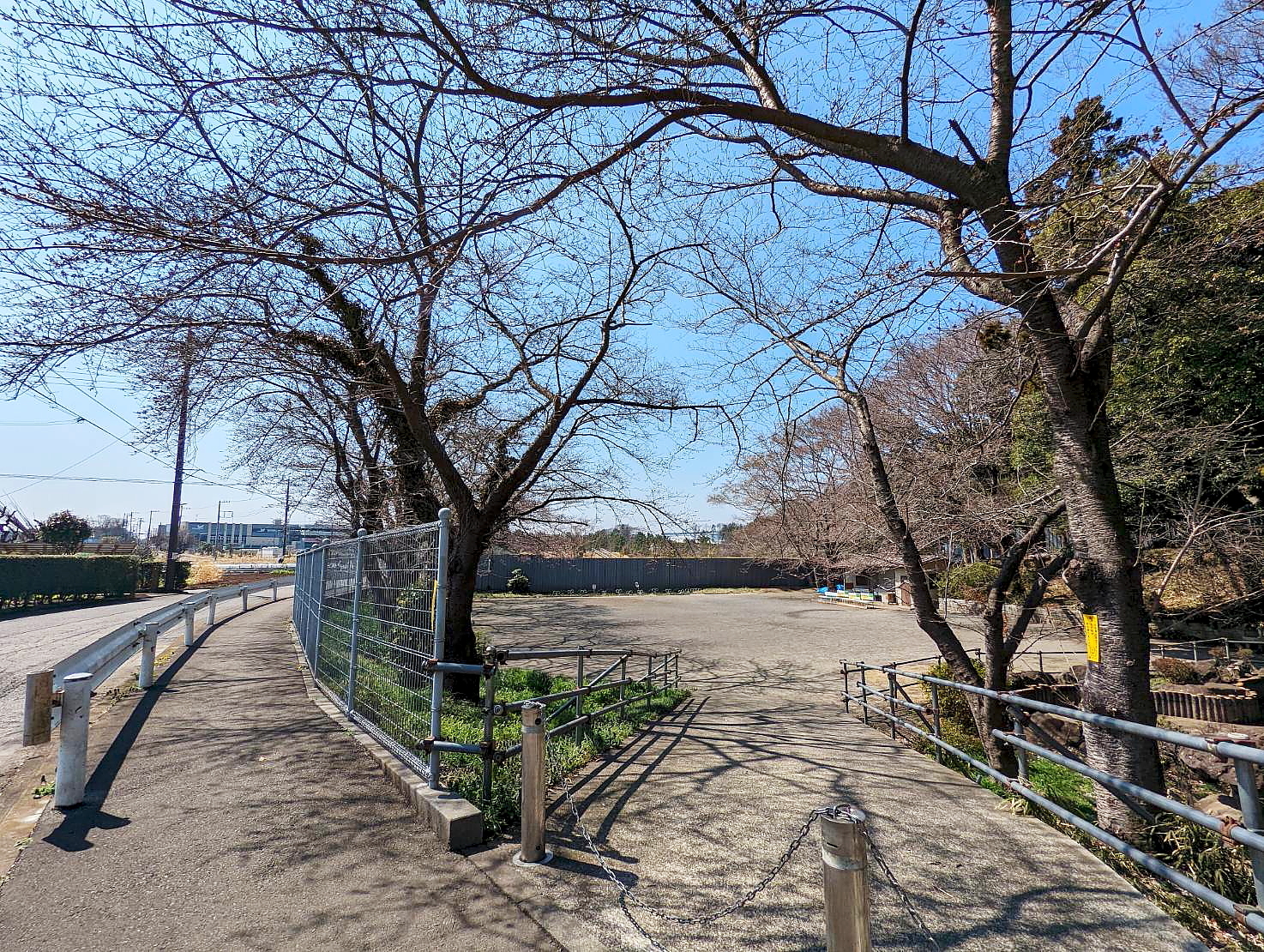 桜の木に囲まれた広場