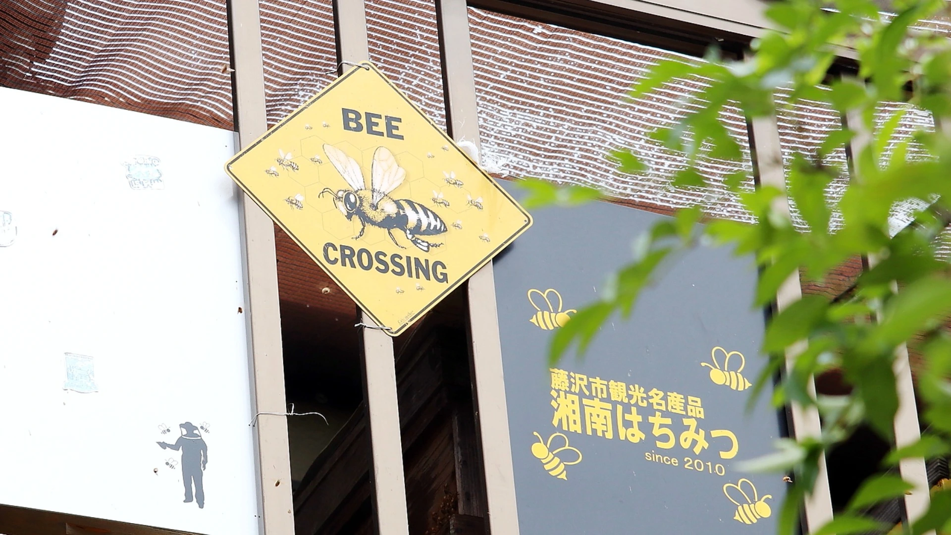 藤沢市】ミツバチが集まる謎の家？海沿いの住宅街にある、秘密にして