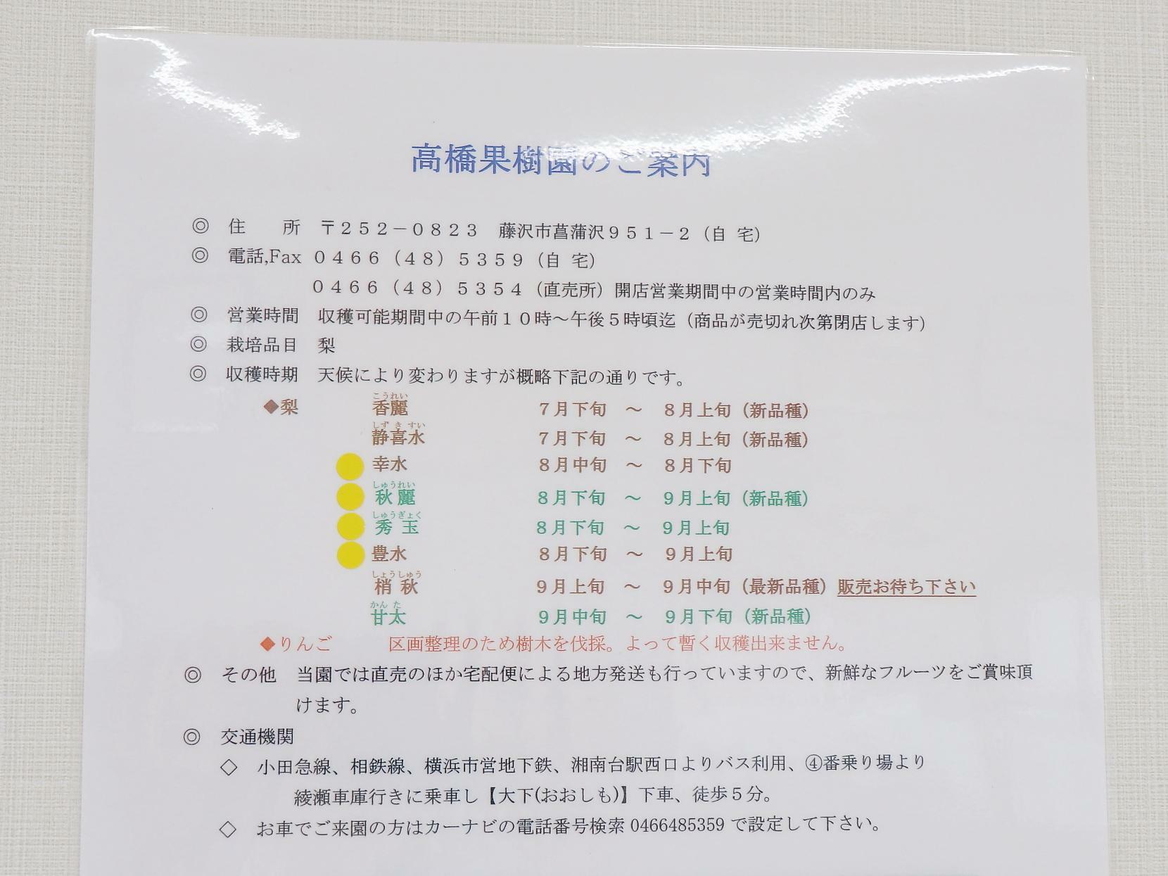 黄色いシールが貼られている品種が、現在販売中の「梨」