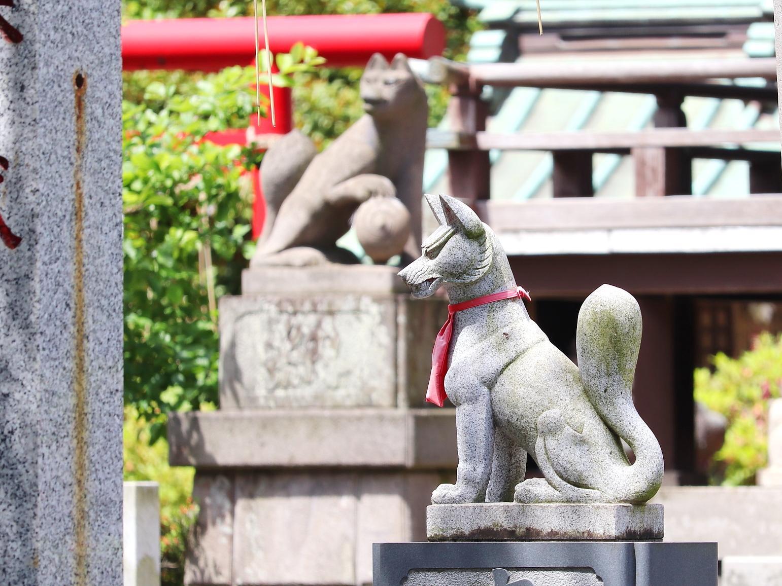 稲荷神社なので、周りには多くの狐の姿が...