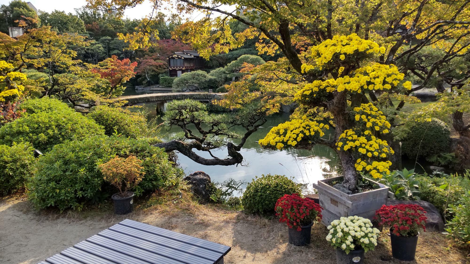 日本庭園内