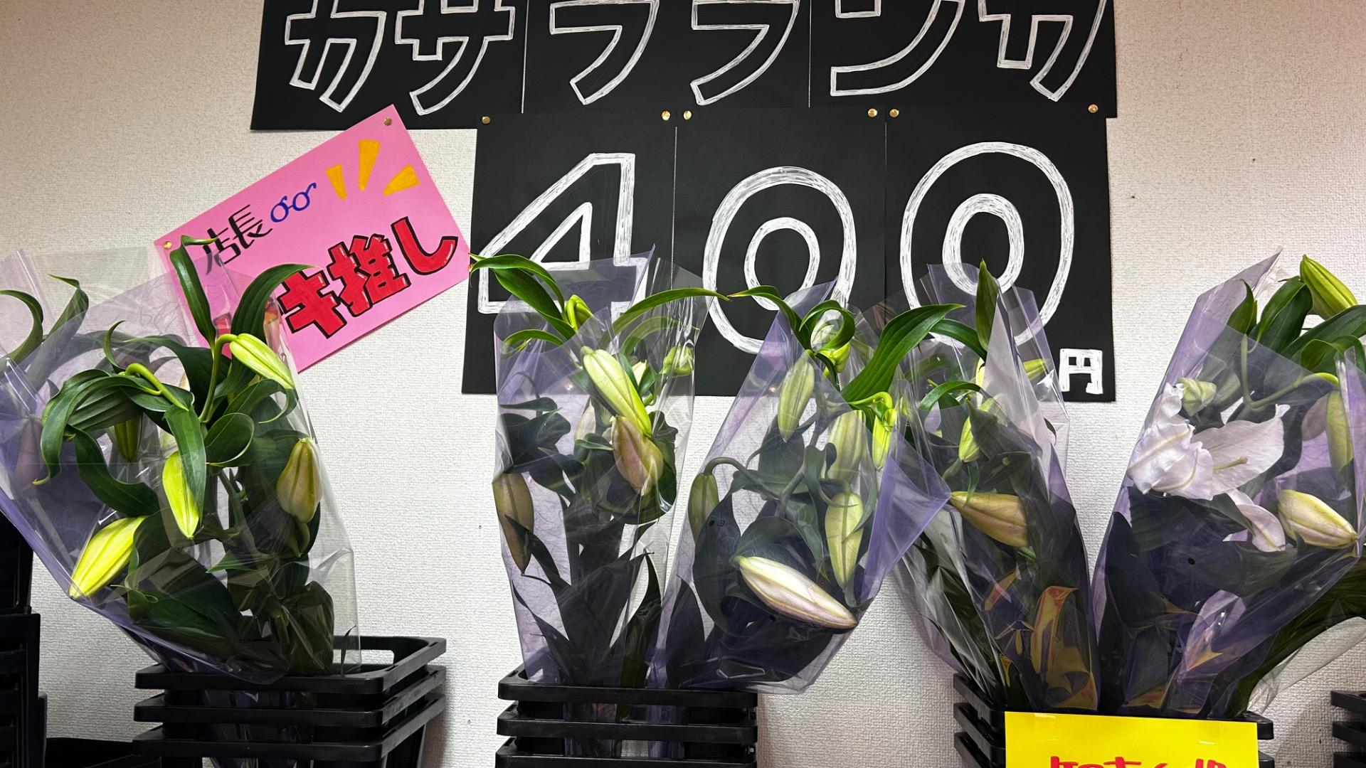 【最終価格】カサブランカの花　　谷昭二作 最終価格】カサブランカの花 谷昭二作 最終価格】カサブランカの