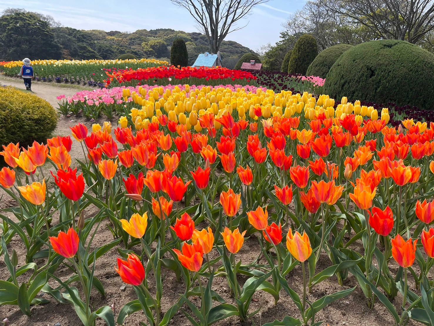 季節の花々がいつも綺麗です。