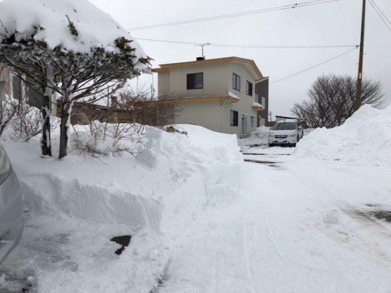 道路が見えてきてひと安心です。ここまでで2時間はかかったかな・・・