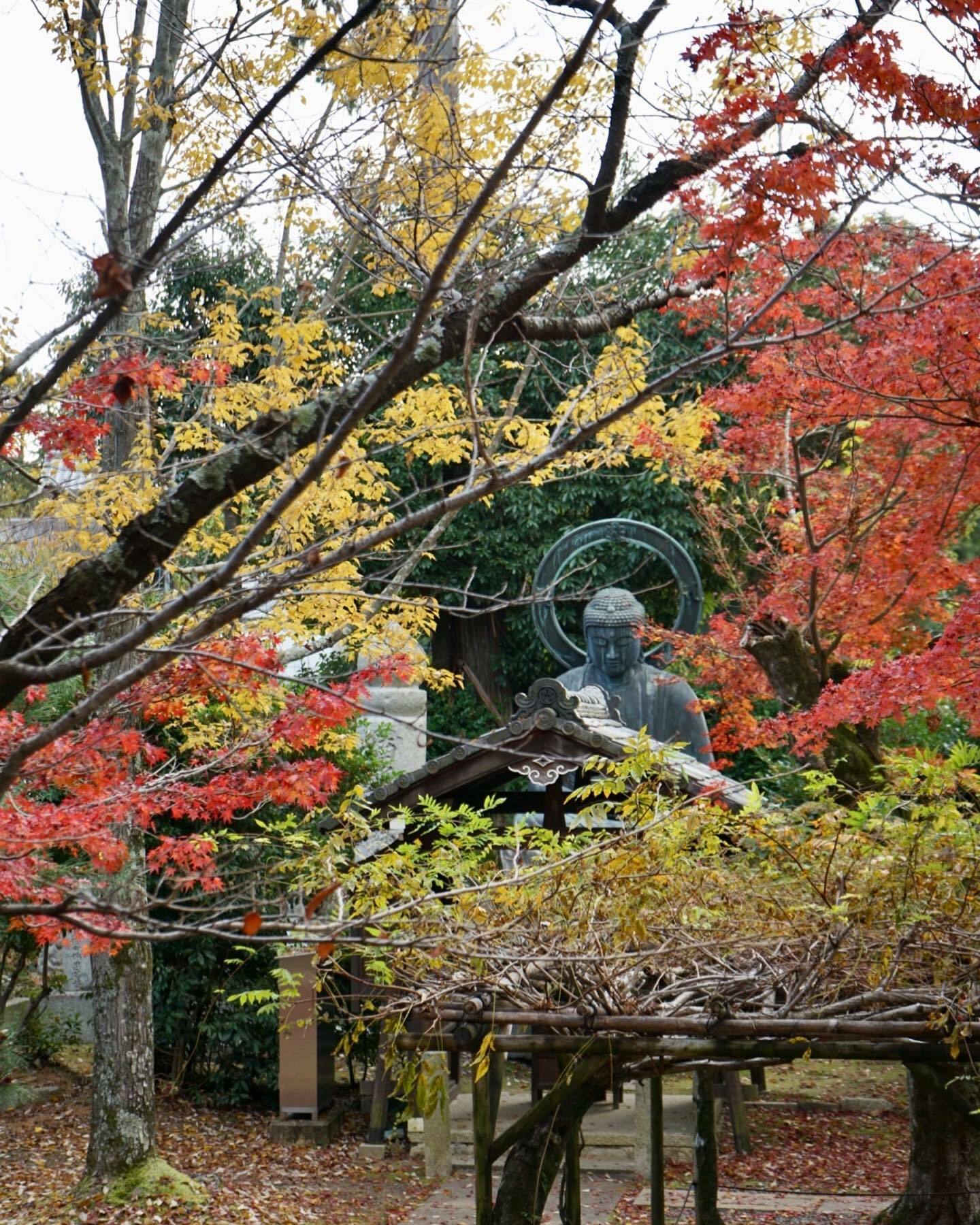 紅葉の綺麗な季節は観光客も多く訪れます