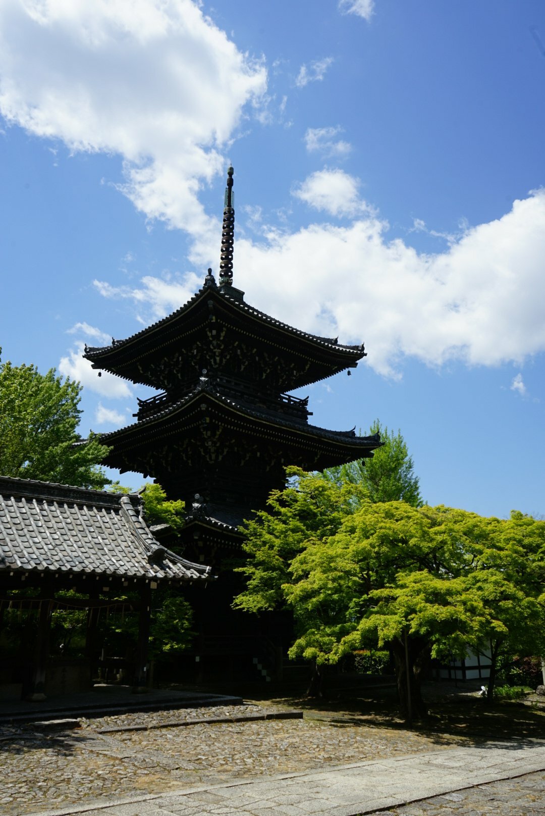 京都府文化財『三重塔』