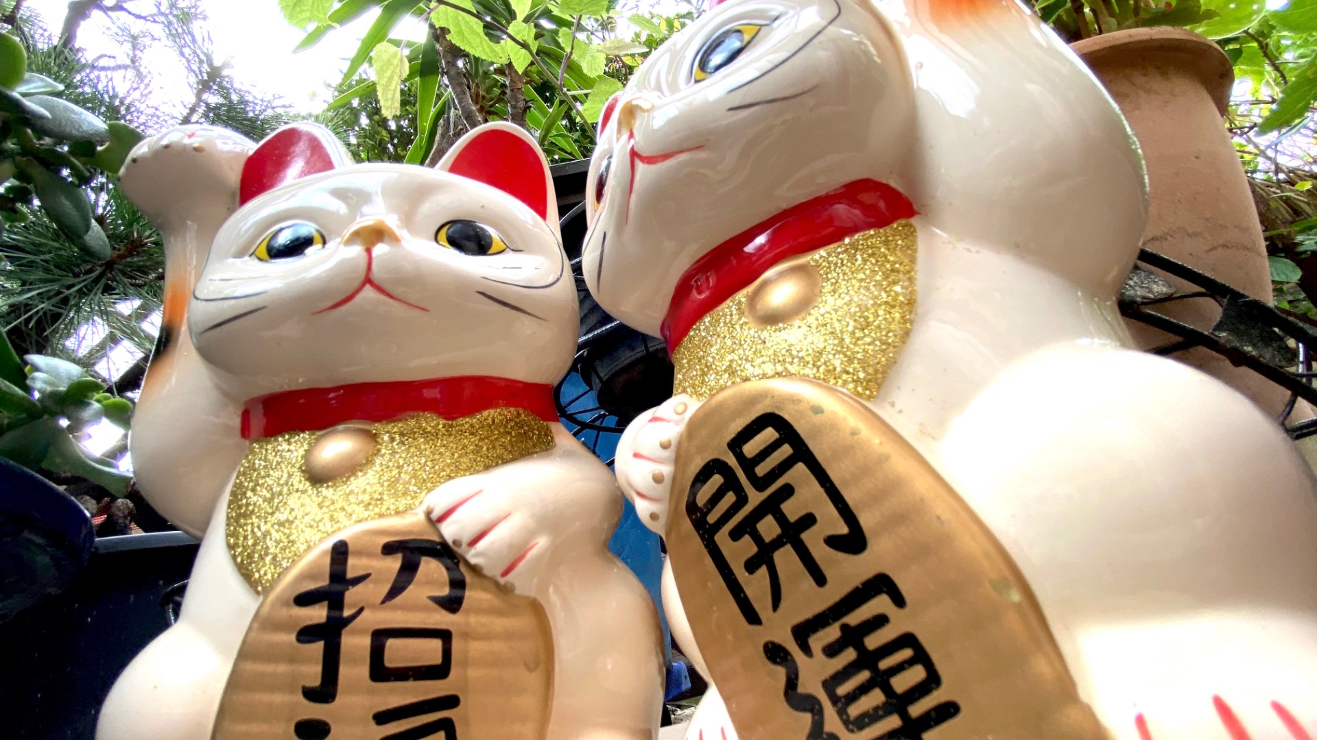 京都市】左京区・招き猫の寺『９月２９日（くる・ふ・く）は招き猫の日