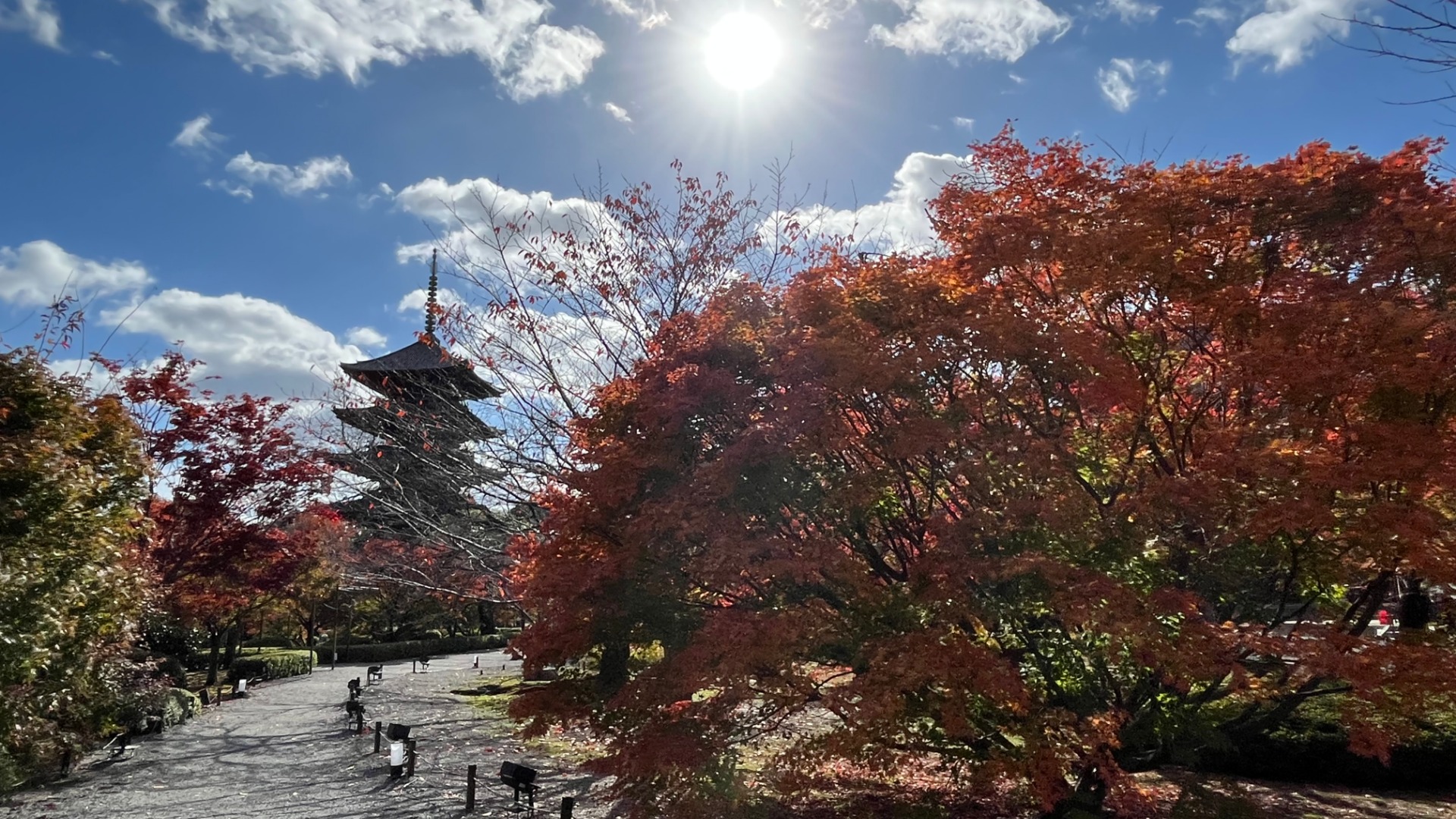 京都市】南区 世界遺産 紅葉と五重塔で有名な『東寺』の宝物館や「観智