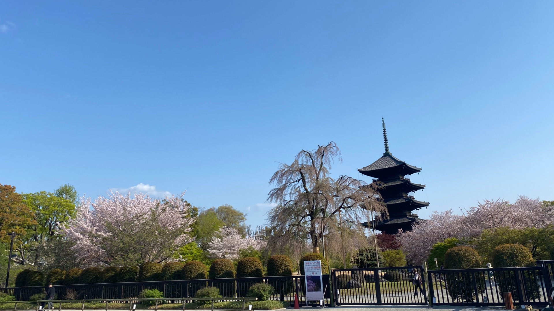 京都市】南区 唯一無二のアート！龍や神々の陶彩画家「草場一壽」陶彩