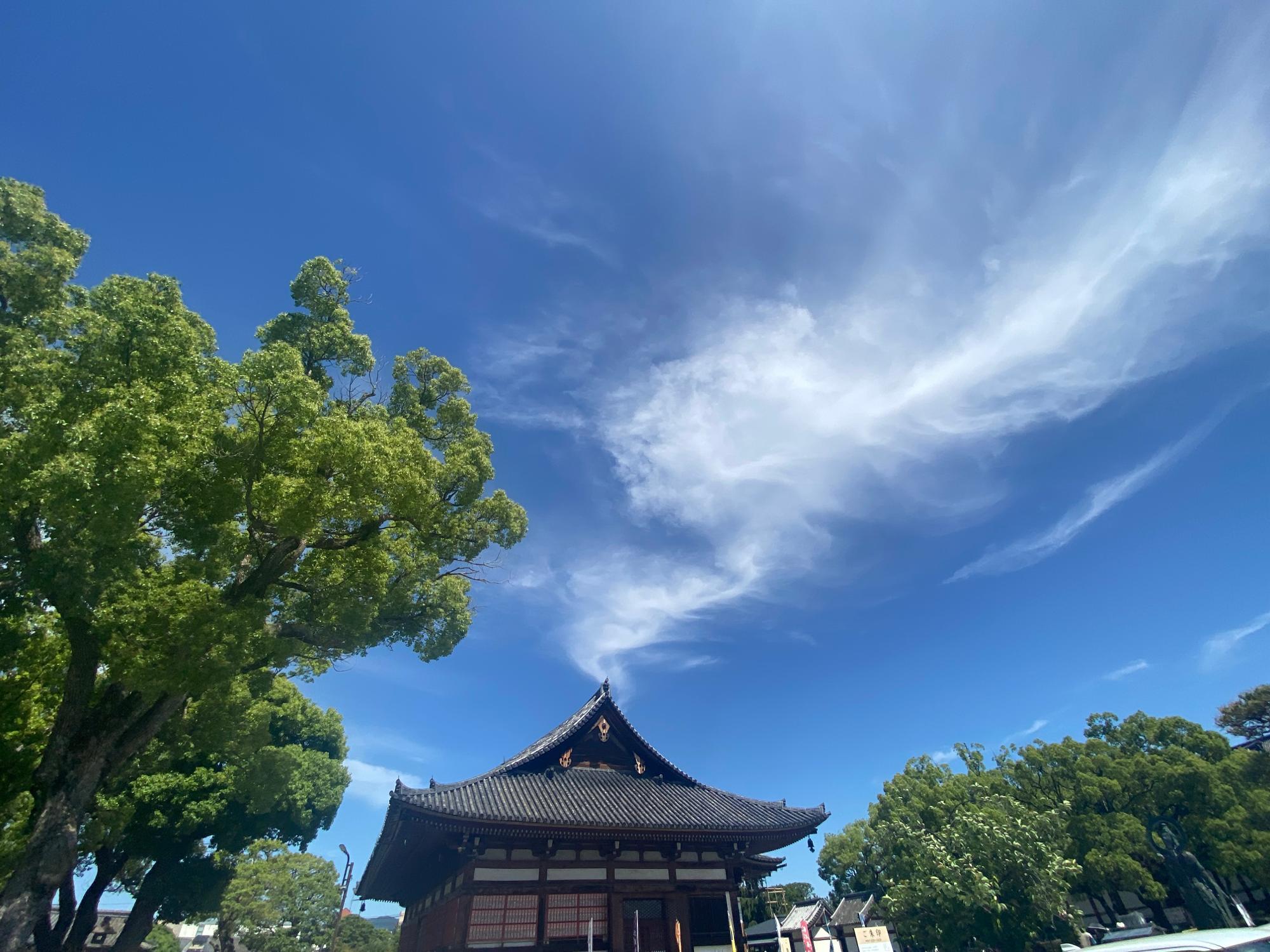 京都市】南区 弘法大師空海が造営した世界遺産「東寺」で春の 京都市】南区 弘法大師空海が造営した世界遺産「東寺」で春の