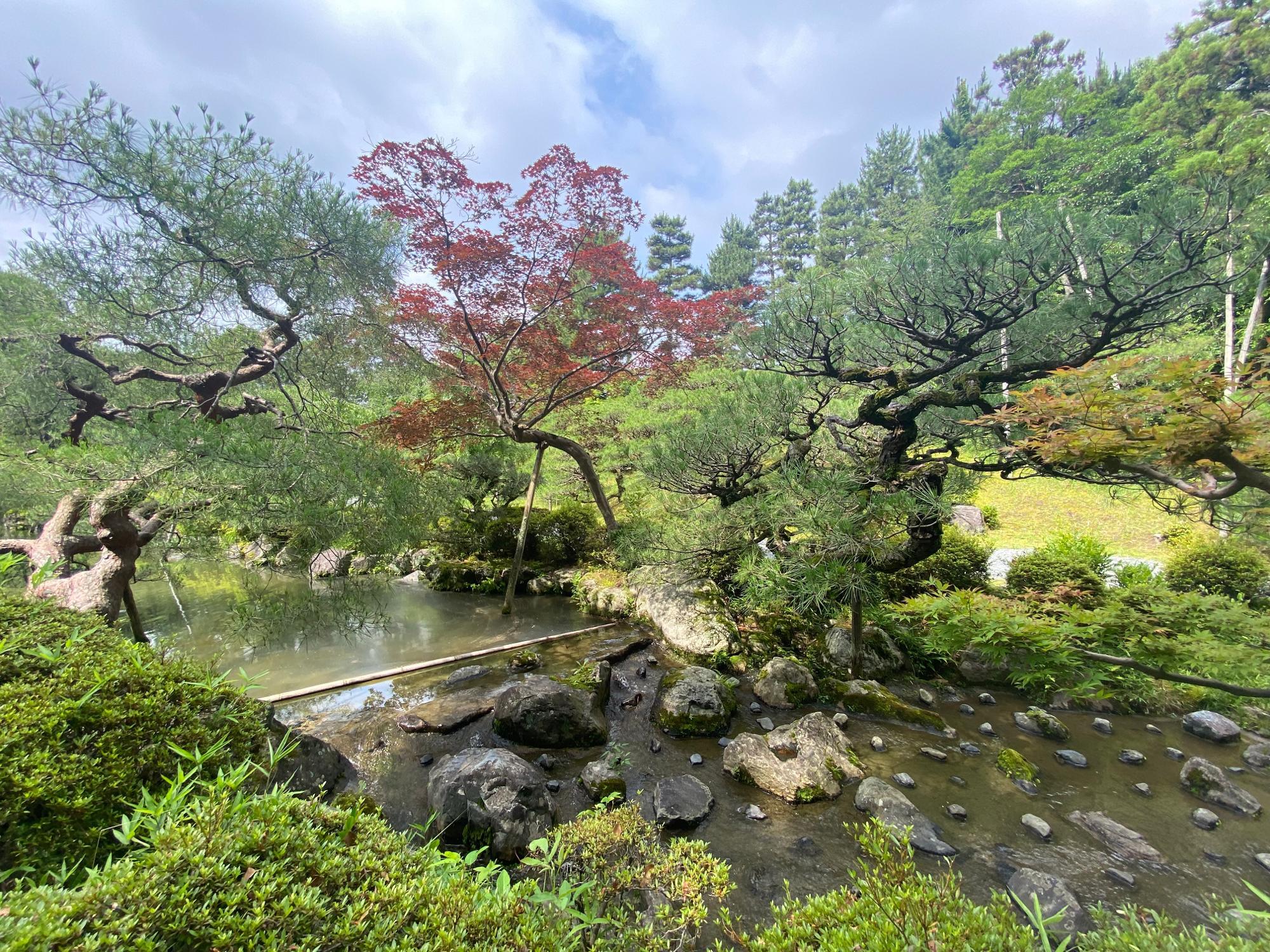 京都市】左京区 6月13日は『平安神宮』神苑の無料公開!満開 京都市】左京区 6月13日は『平安神宮』神苑の無料公開!満開