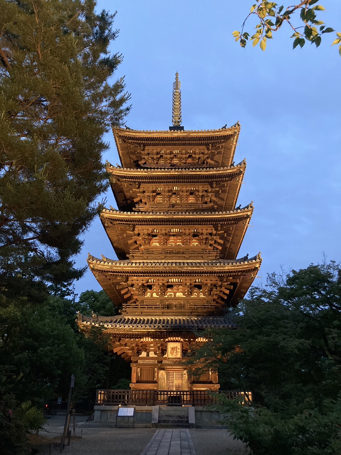 京都市】右京区 世界遺産『仁和寺』の風景を未来へ残すプロジェクト 