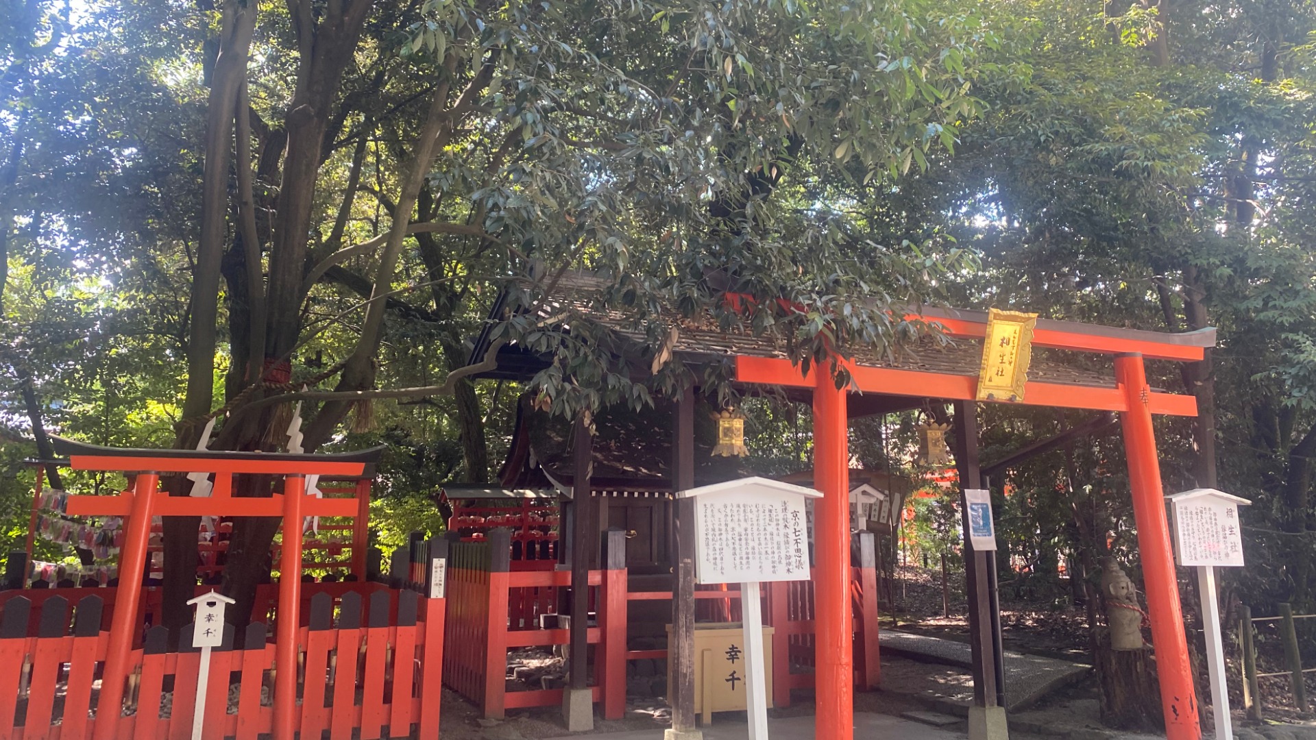 京都市】左京区『下鴨神社』パワースポット「相生社」は〜京の七 京都市】左京区『下鴨神社』パワースポット「相生社」は〜京の七