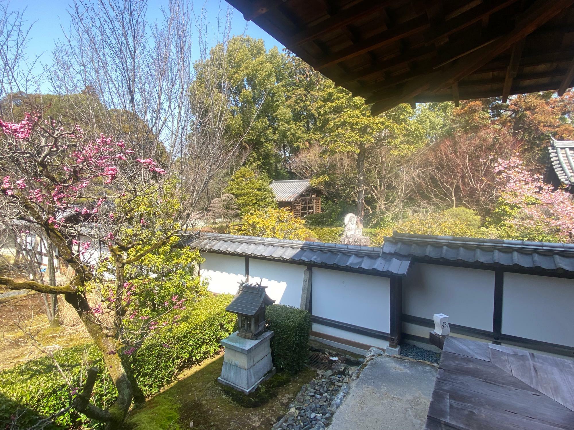 京都市】伏見区 皇室の菩提所『泉涌寺』仏舎利を祀るお堂の龍図と双龍