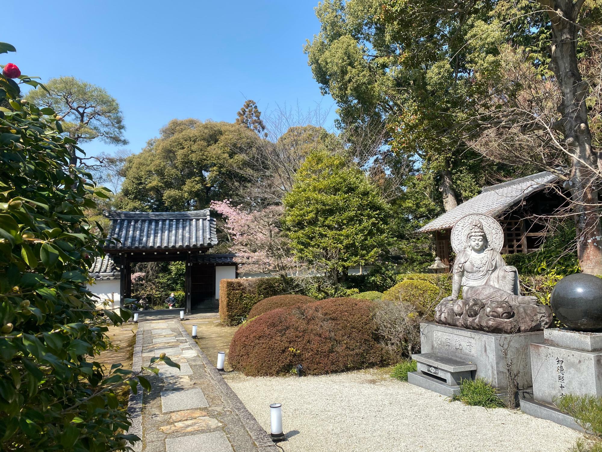 京都市】伏見区 皇室の菩提所『泉涌寺』仏舎利を祀るお堂の龍図と双龍