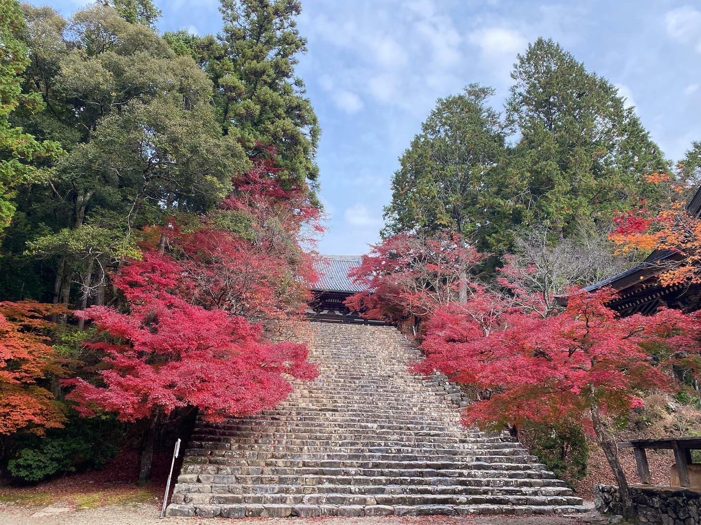 神護寺「大階段」と紅葉