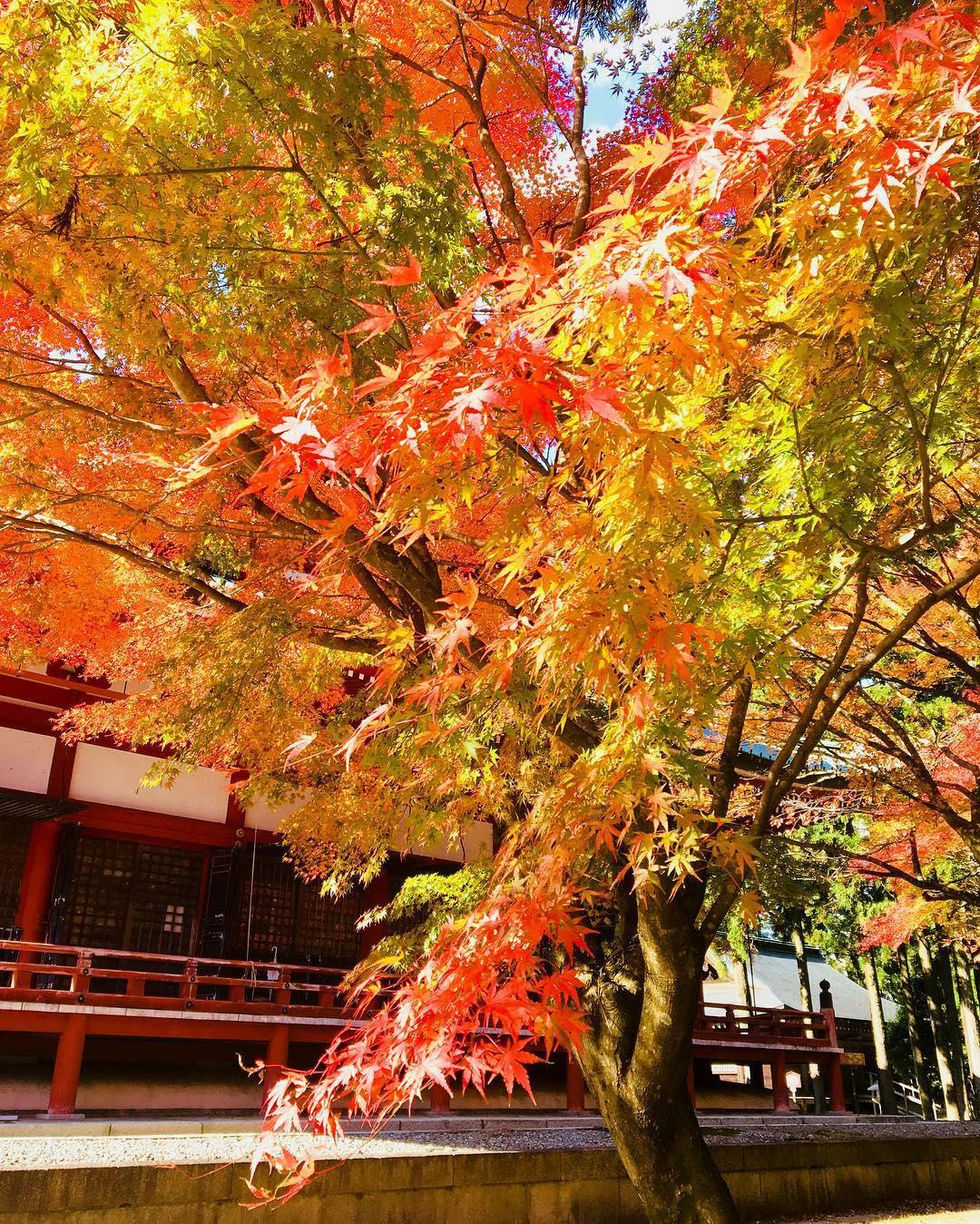 比叡山延暦寺