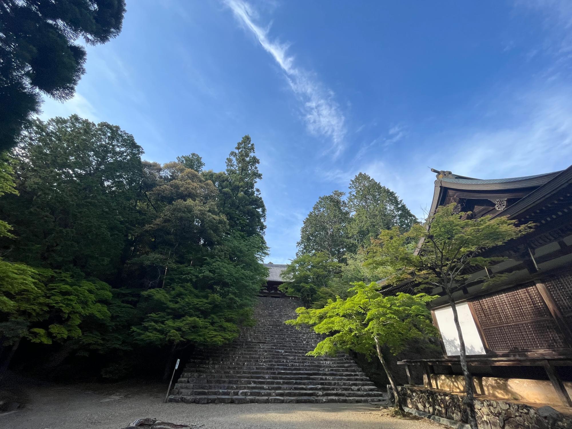 京都市】右京区 開基1200年高雄山『神護寺』の”神護寺展”と神護 京都市】右京区 開基1200年高雄山『神護寺』の”神護寺展”と神護