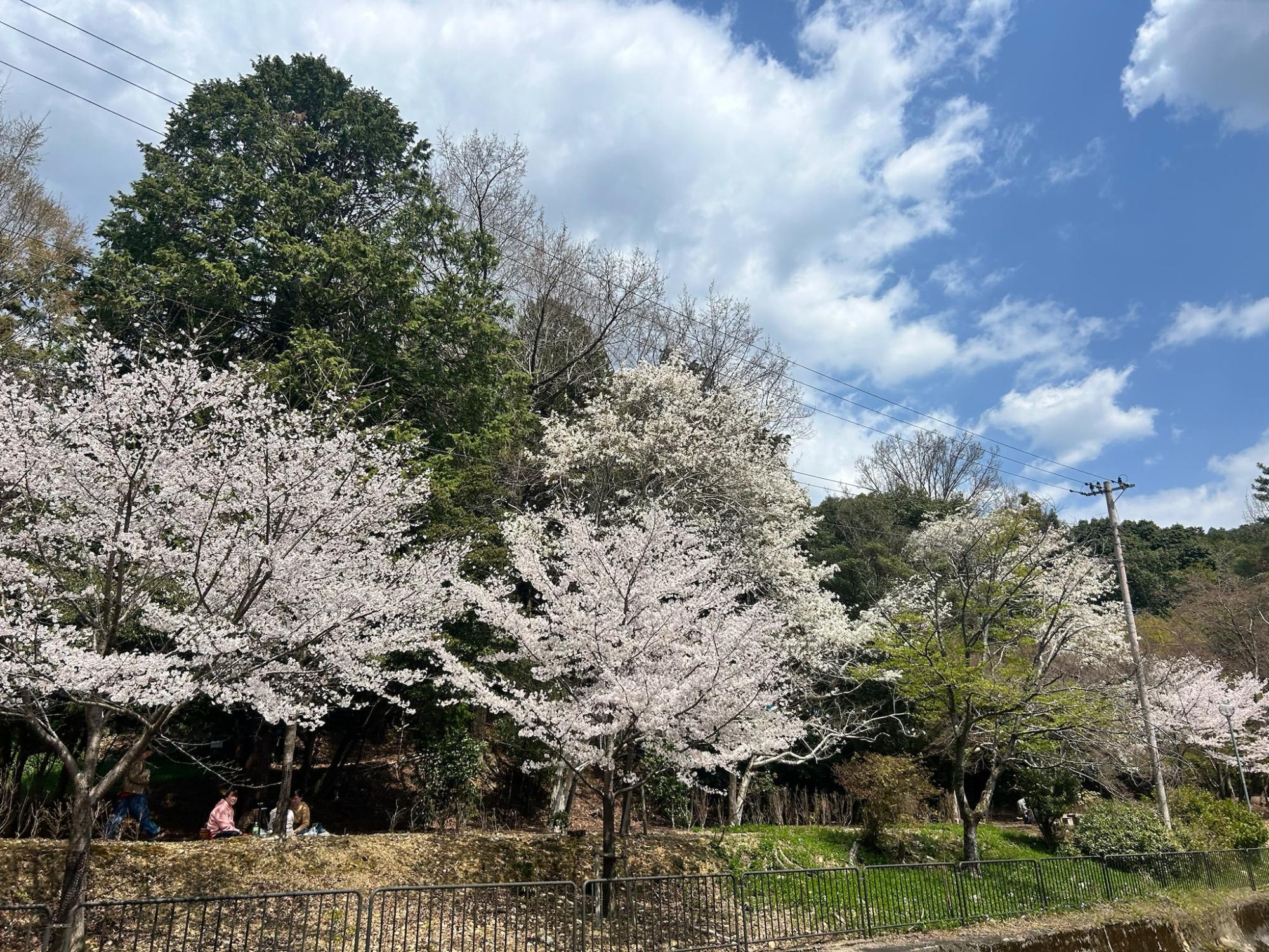 【京 本圀寺派 管長 御筆】昭和廿年 金銅製鍍金経筒 文化遺産オンライン