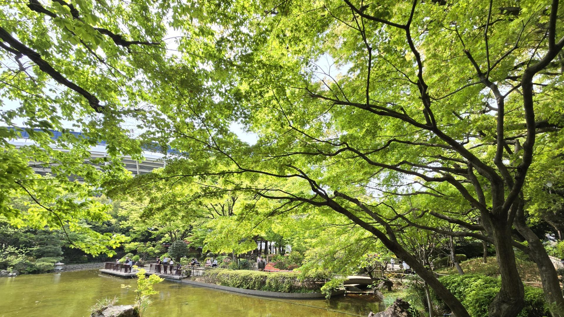 今週末やGWに出かけたい、新緑まぶしい横浜【横浜市】（kraysky