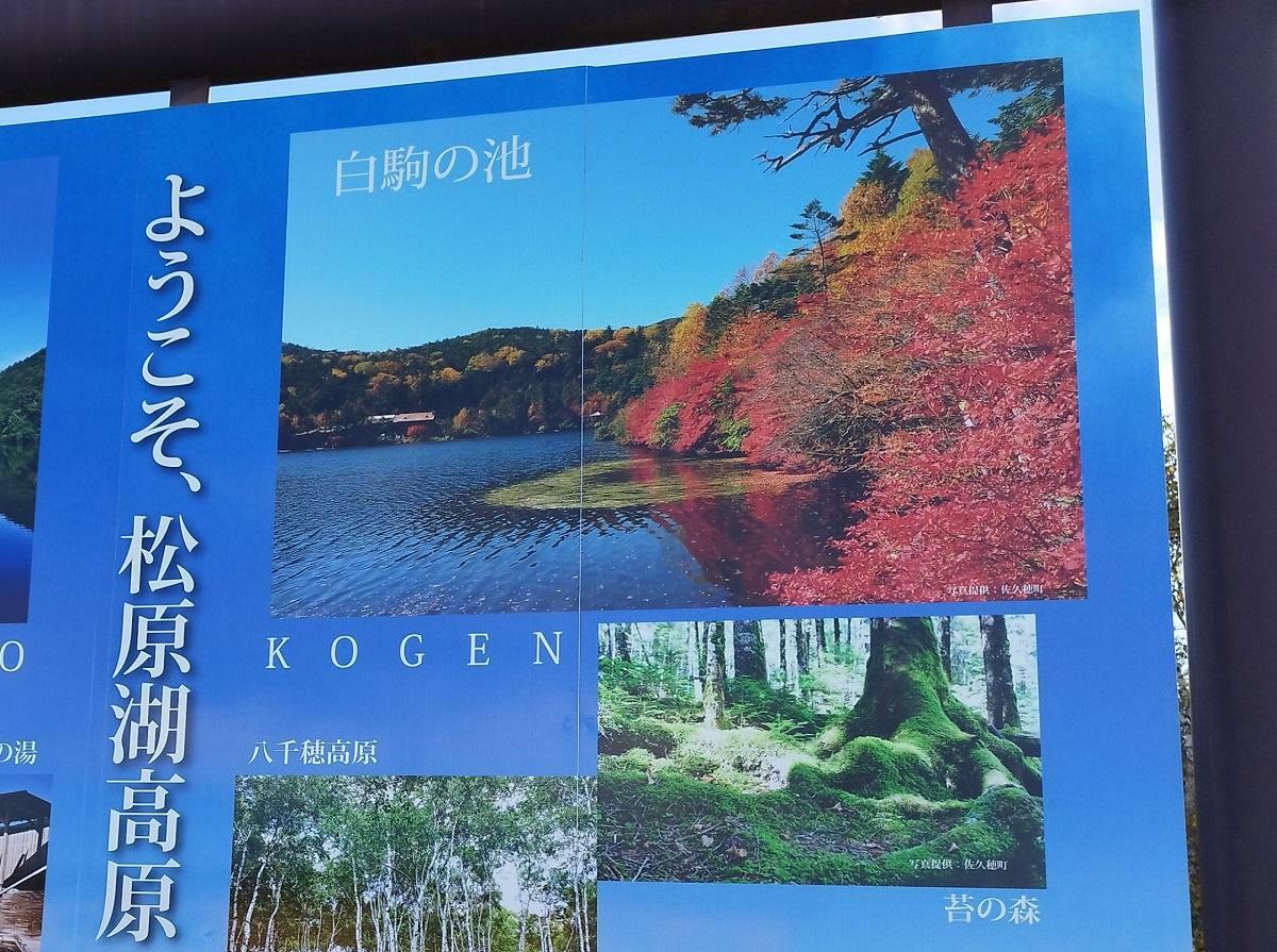 国道299号線沿いの白駒池へ「あと7km」の案内板