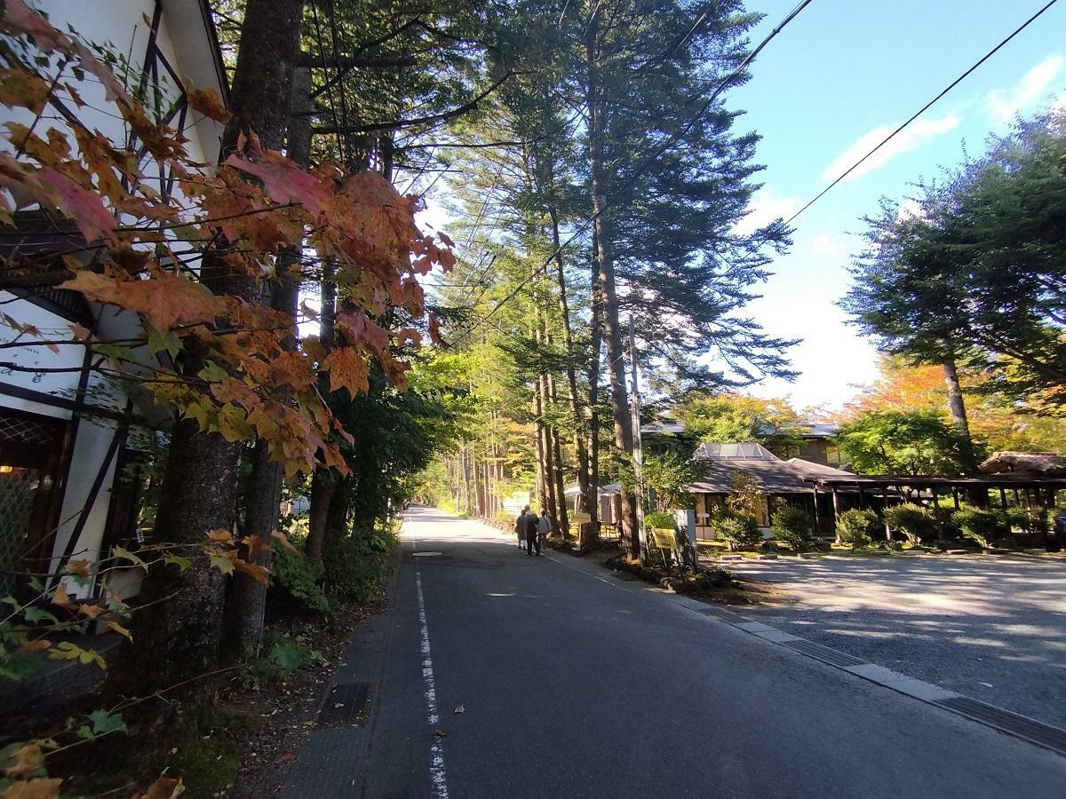 雲場池通りの紅葉