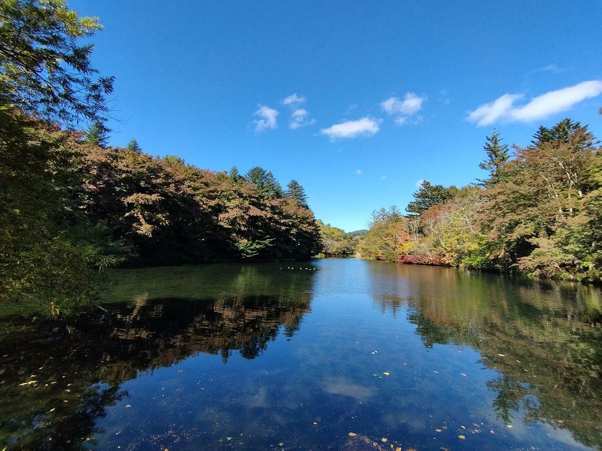 軽井沢雲場池