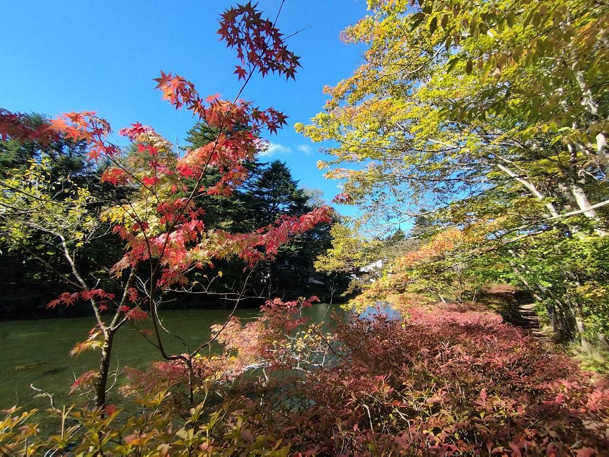 軽井沢雲場池