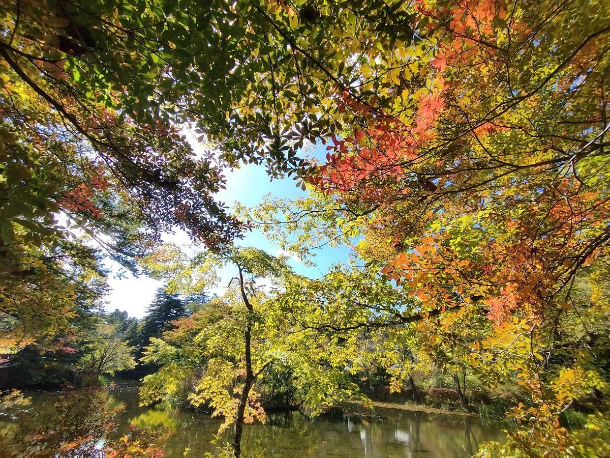 軽井沢雲場池