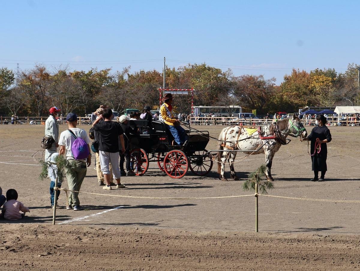 ちびっこ馬車