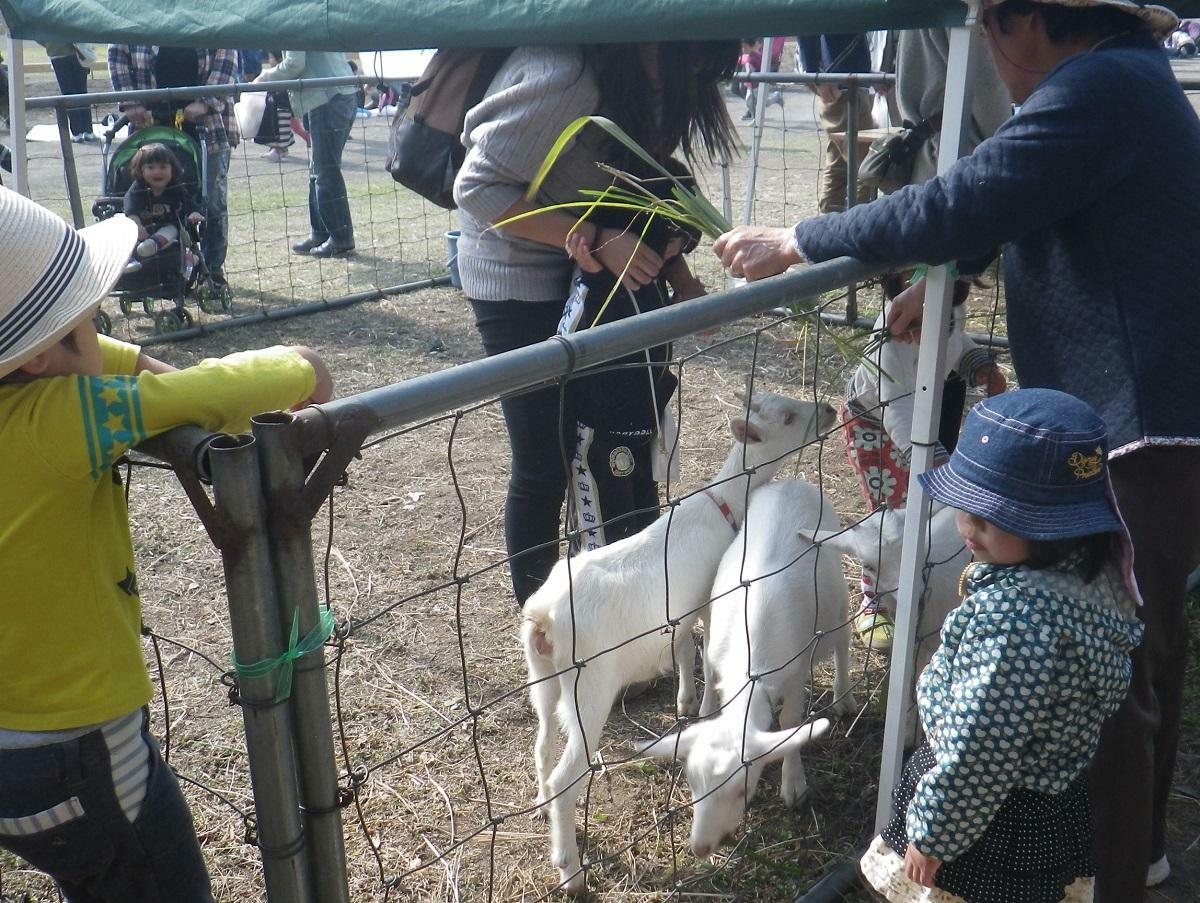 佐久平総合記述高校によるヤギやウサギのふれあいコーナー(画像提供:佐久市役所望月支所）