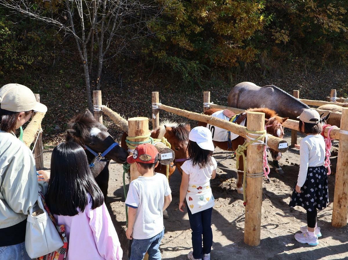 出走前のポニーに近づく子供たち