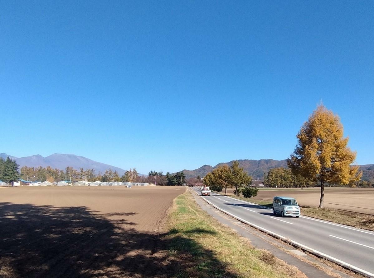 2024年11月13日の長野支場北の浅間山～平尾山方面の風景