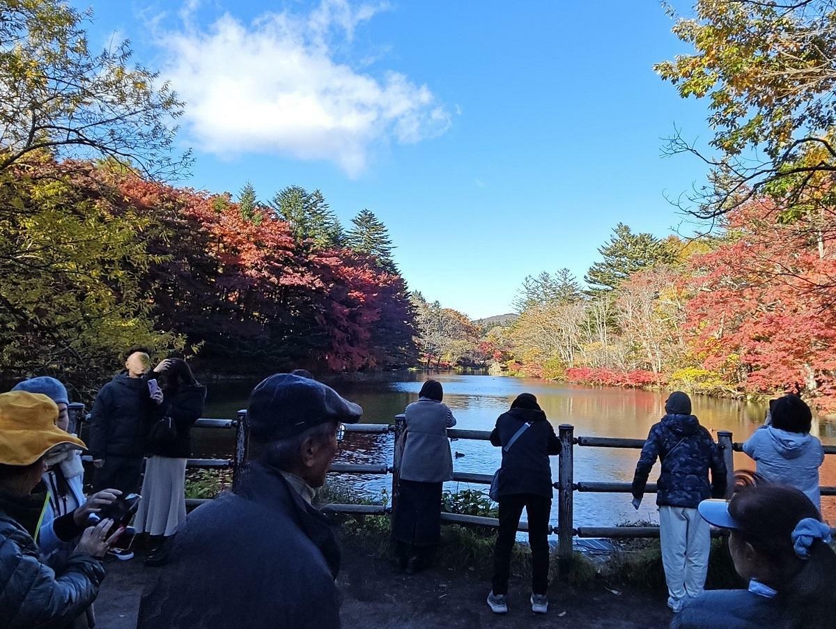 軽井沢雲場池