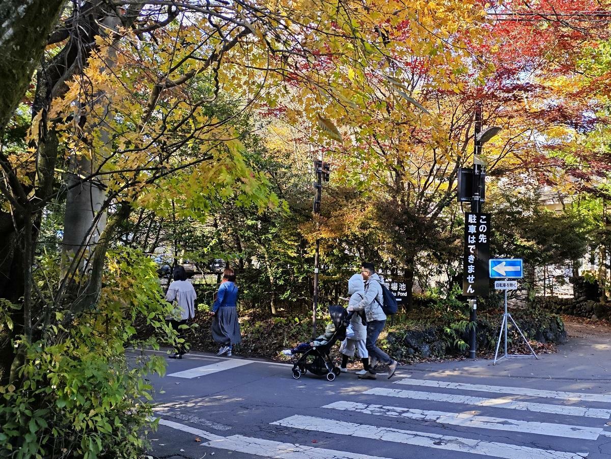 雲場池通り