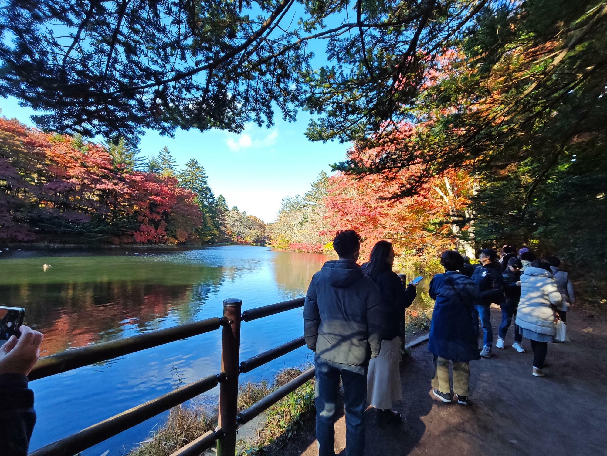 2024年11月7日の軽井沢雲場池