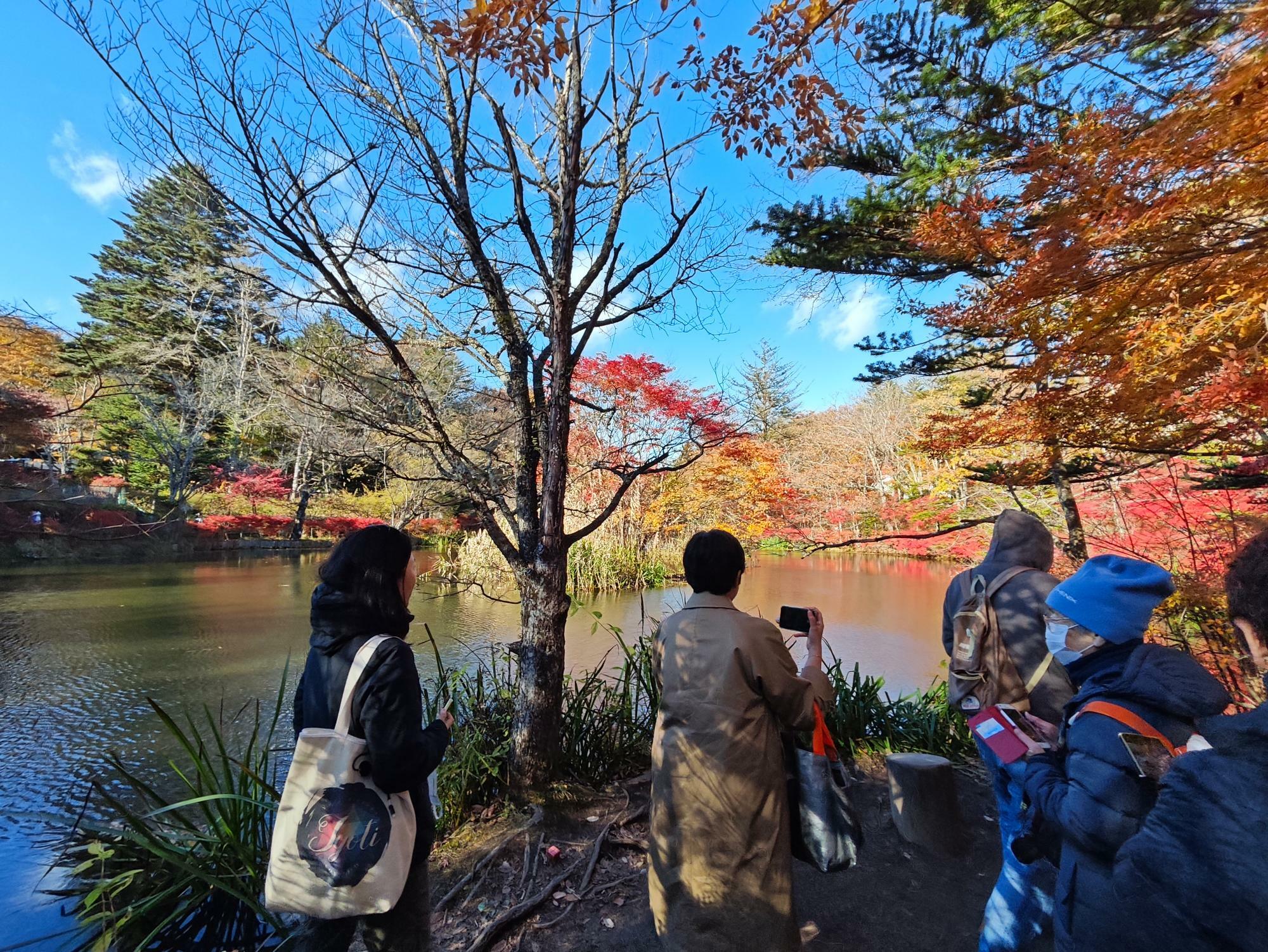 駒場池東岸